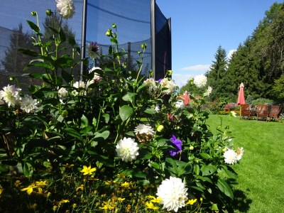 Holiday apartment Phlox im Landhaus Bonaventura - Outdoor photo 5