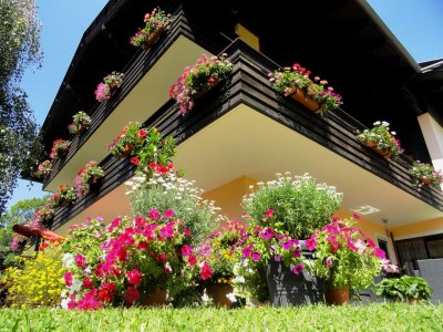 Holiday apartment Phlox im Landhaus Bonaventura - Outdoor photo 6