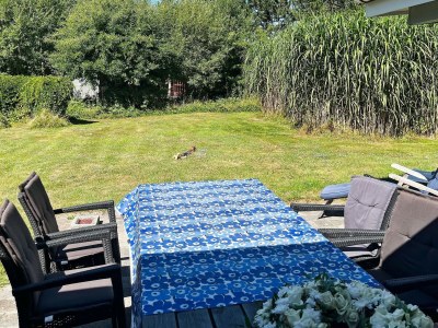 Holiday house 10 person holiday home in Dannemare-By Traum - Outdoor photo 8