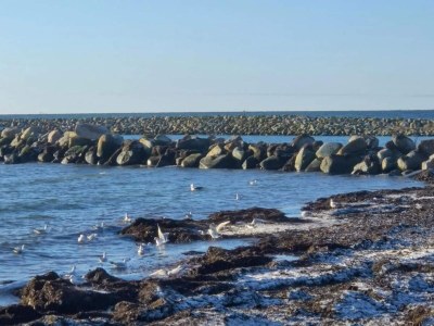 Holiday house 10 person holiday home in Dannemare-By Traum - Outdoor photo 15