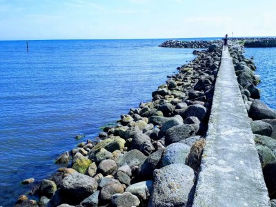 Holiday house 10 person holiday home in Dannemare-By Traum - Outdoor photo 42