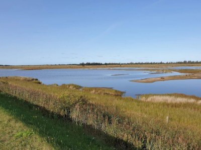 Holiday house 10 person holiday home in Dannemare-By Traum - Outdoor photo 43