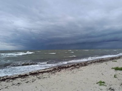 Holiday house 10 person holiday home in Dannemare-By Traum - Outdoor photo 44