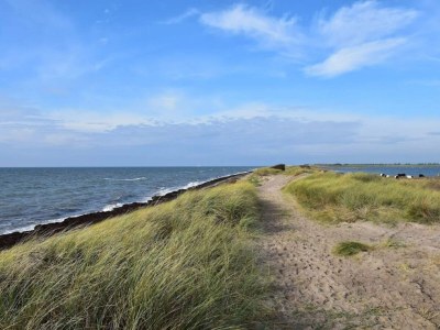 Holiday house 10 person holiday home in Dannemare-By Traum - Outdoor photo 45