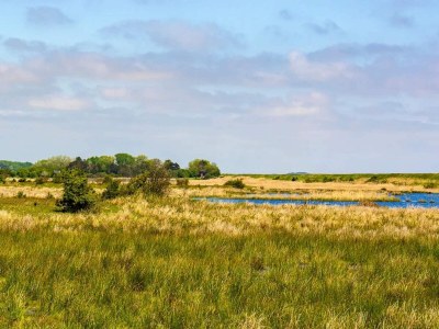 Holiday house 10 person holiday home in Dannemare-By Traum - Outdoor photo 66