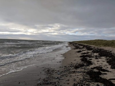 Holiday house 10 person holiday home in Dannemare-By Traum - Outdoor photo 70