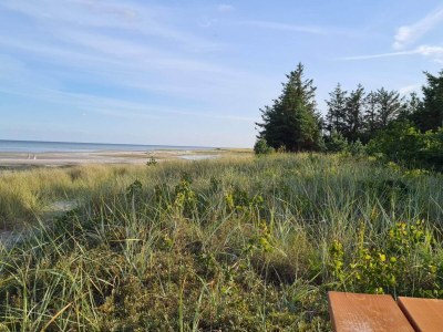 Holiday house 6 Personen Ferienhaus in Hals-By Traum - Outdoor photo 28