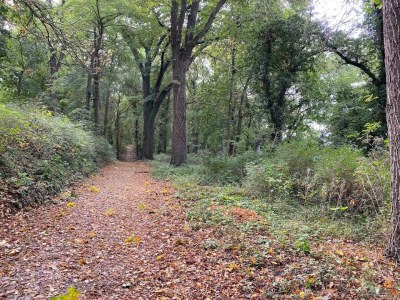 Apartment Ferienwohnungen, Malchow - Environment photo 44