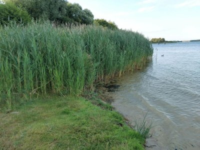 Apartment Ferienwohnungen, Malchow - Environment photo 13