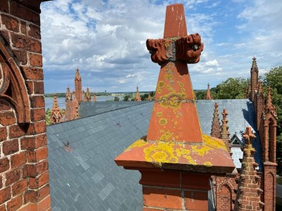 Apartment Ferienwohnungen, Malchow - Environment photo 18