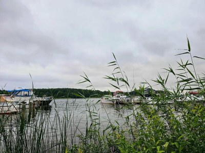 Apartment Ferienwohnungen, Malchow - Environment photo 23