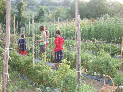 Holiday house Charmante Villa in Maida mit Pool und Garten - Environment photo 18