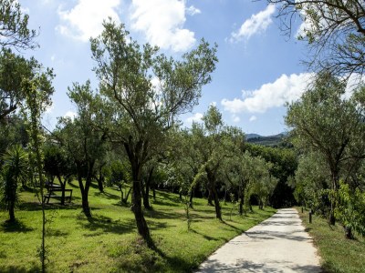 Holiday house Charmante Villa in Maida mit Pool und Garten - Environment photo 19