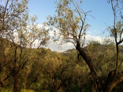 Holiday house Charmante Villa in Maida mit Pool und Garten - Environment photo 23