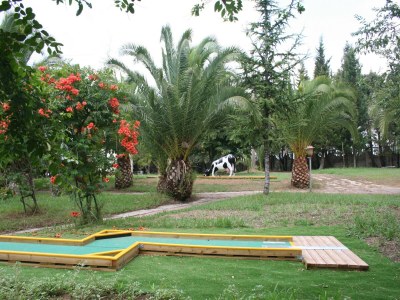 Holiday house Charmante Villa in Maida mit Pool und Garten - Outdoor photo 36