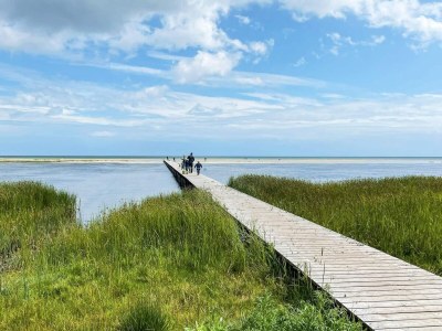 Holiday house 6 person holiday home in Hadsund - Outdoor photo 12