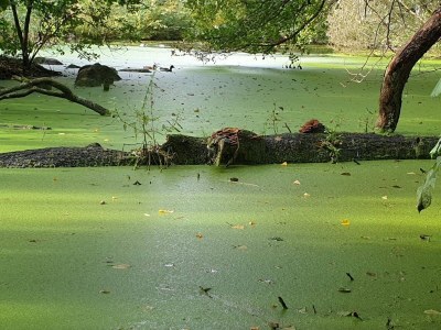 Holiday house 6 person holiday home in Hadsund - Outdoor photo 26