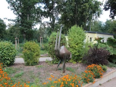 Bungalow Bungalow, Senftenberg - Environment photo 11