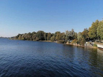 Bungalow Bungalow, Senftenberg - Environment photo 22