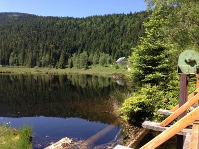 Holiday house Waldlerhaus von 1848 TOP Renoviert - Environment photo 25