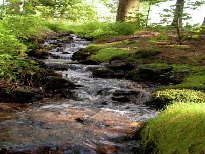 Holiday house Waldlerhaus von 1848 TOP Renoviert - Environment photo 27