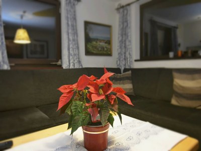 Holiday house Waldlerhaus von 1848 TOP Renoviert - Outdoor photo 28