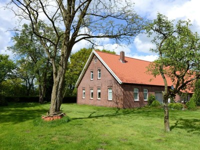 Apartment Ferienwohnung, Plau am See - Environment photo 26