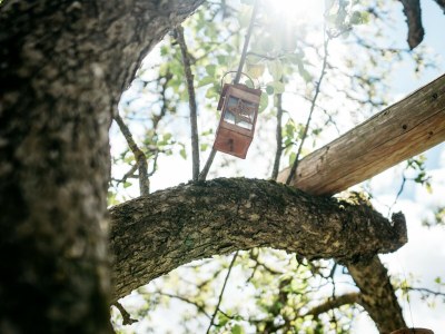 Holiday house Chalet in Feistritz near Petzen Ski Area - Outdoor photo 14