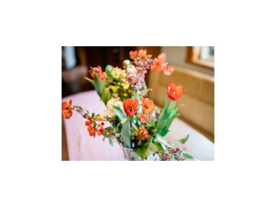 Holiday house Chalet in Feistritz near Petzen Ski Area - Features photo 24