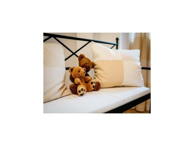 Holiday house Chalet in Feistritz near Petzen Ski Area - Features photo 30