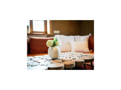 Holiday house Chalet in Feistritz near Petzen Ski Area - Features photo 31