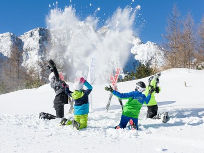 Holiday house Chalet in Feistritz near Petzen Ski Area - Environment photo 33