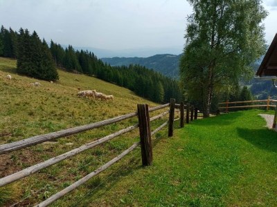 Holiday house Ferienhaus in Prebl nahe Klippitztörl Skigebiet - Outdoor photo 5