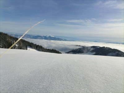 Holiday house Ferienhaus in Prebl nahe Klippitztörl Skigebiet - Outdoor photo 25