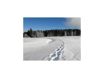 Holiday house Ferienhaus in Prebl nahe Klippitztörl Skigebiet - Outdoor photo 31