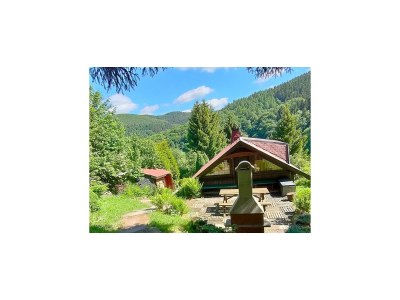 Holiday house Ferienhaus Am Hermannsberg, Oberschönau in Rennsteig - Holiday house