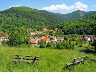 Holiday house Ferienhaus Am Hermannsberg, Oberschönau - Environment photo 45