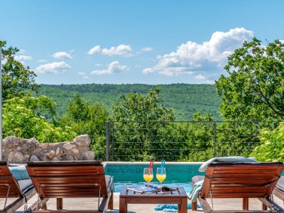 Holiday house Veselici - Outdoor photo 11