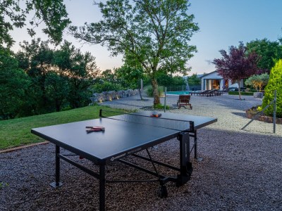 Holiday house Veselici - Outdoor photo 14