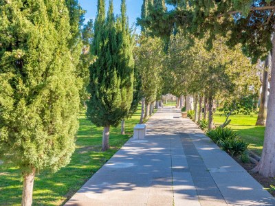 Villa ES MOLI DELS REIS - Outdoor photo 6