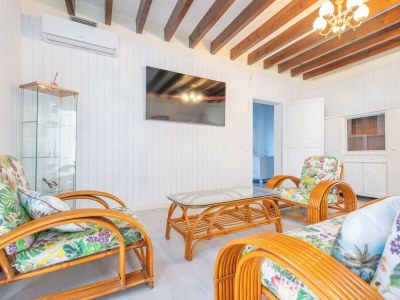 Villa ES MOLI DELS REIS - Features photo 41