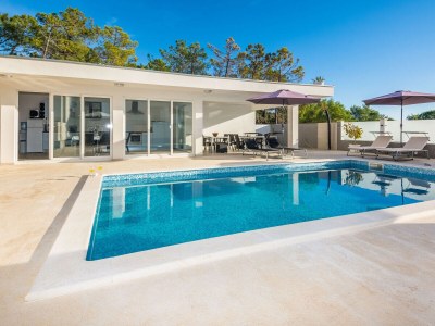 Holiday apartment Olujic 1 in Vir - Holiday apartment