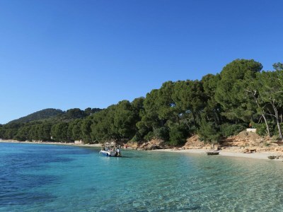 Villa Hort Petit - Environment photo 37