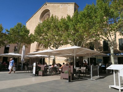 Villa Hort Petit - Environment photo 42