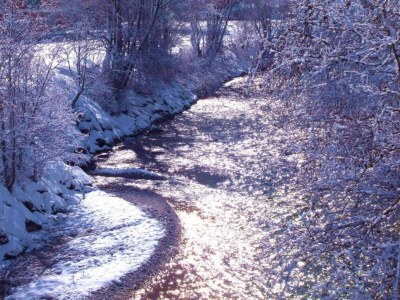 Apartment Wohnung Neustift nahe Stubai Skilift - Environment photo 33