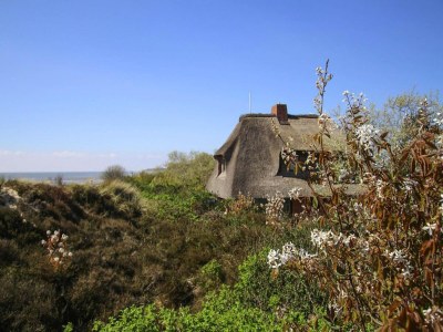 Holiday house Ferienhaus am Watt, List auf Sylt - Environment photo 16