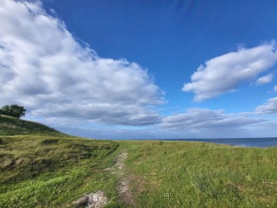 Holiday house 4 person holiday home in Grenaa-By Traum - Outdoor photo 21