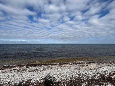 Holiday house 4 person holiday home in Grenaa-By Traum - Outdoor photo 25