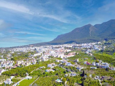 Apartment Apartment Near Beaches - Environment photo 21