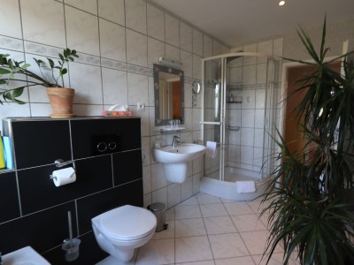 Holiday house Landlächeln Vulkaneifel - Features photo 16